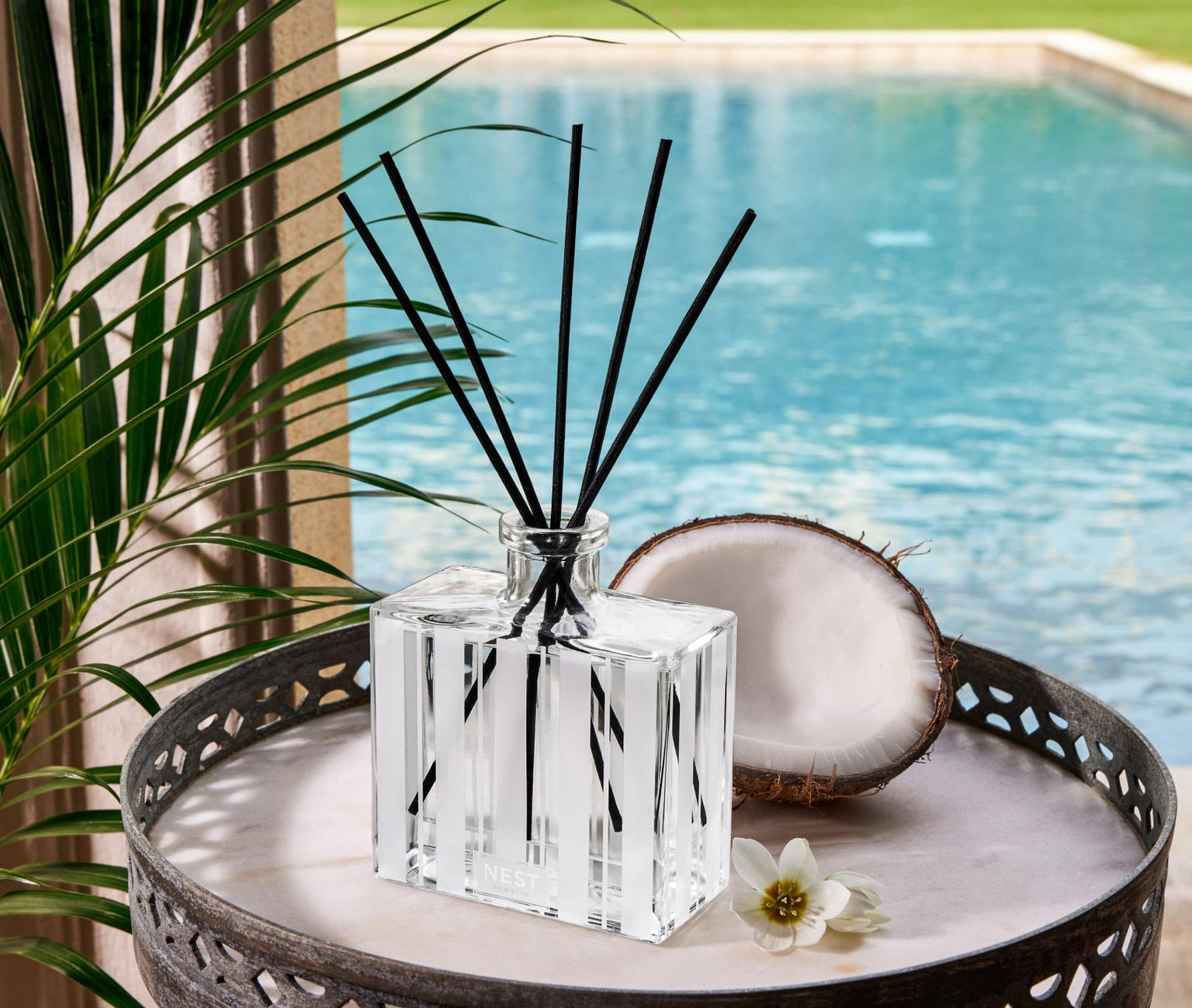 Reed Diffuser 5.9oz Coconut & Palm