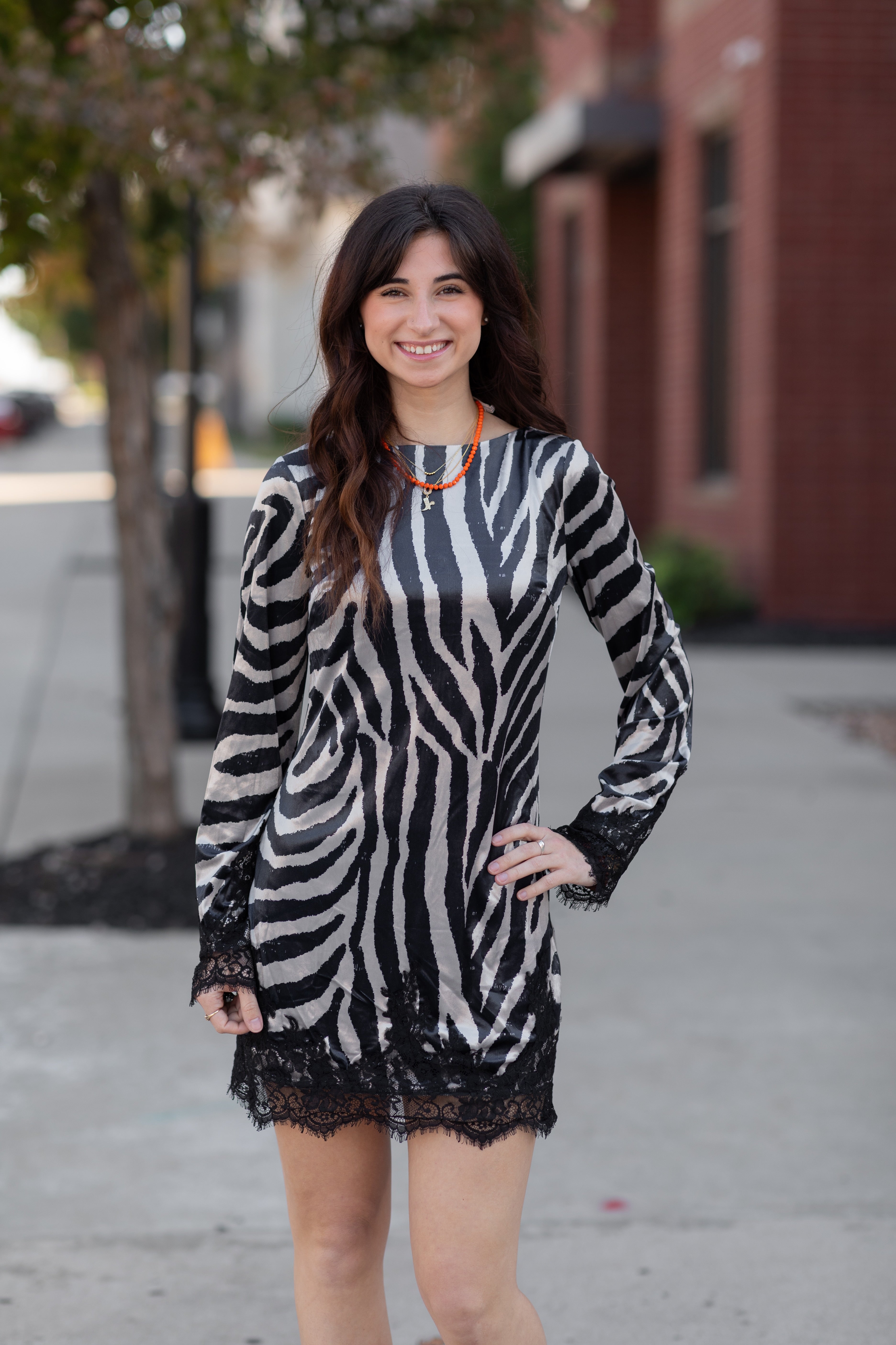 Zebra Print Long Sleeve Mini Dress