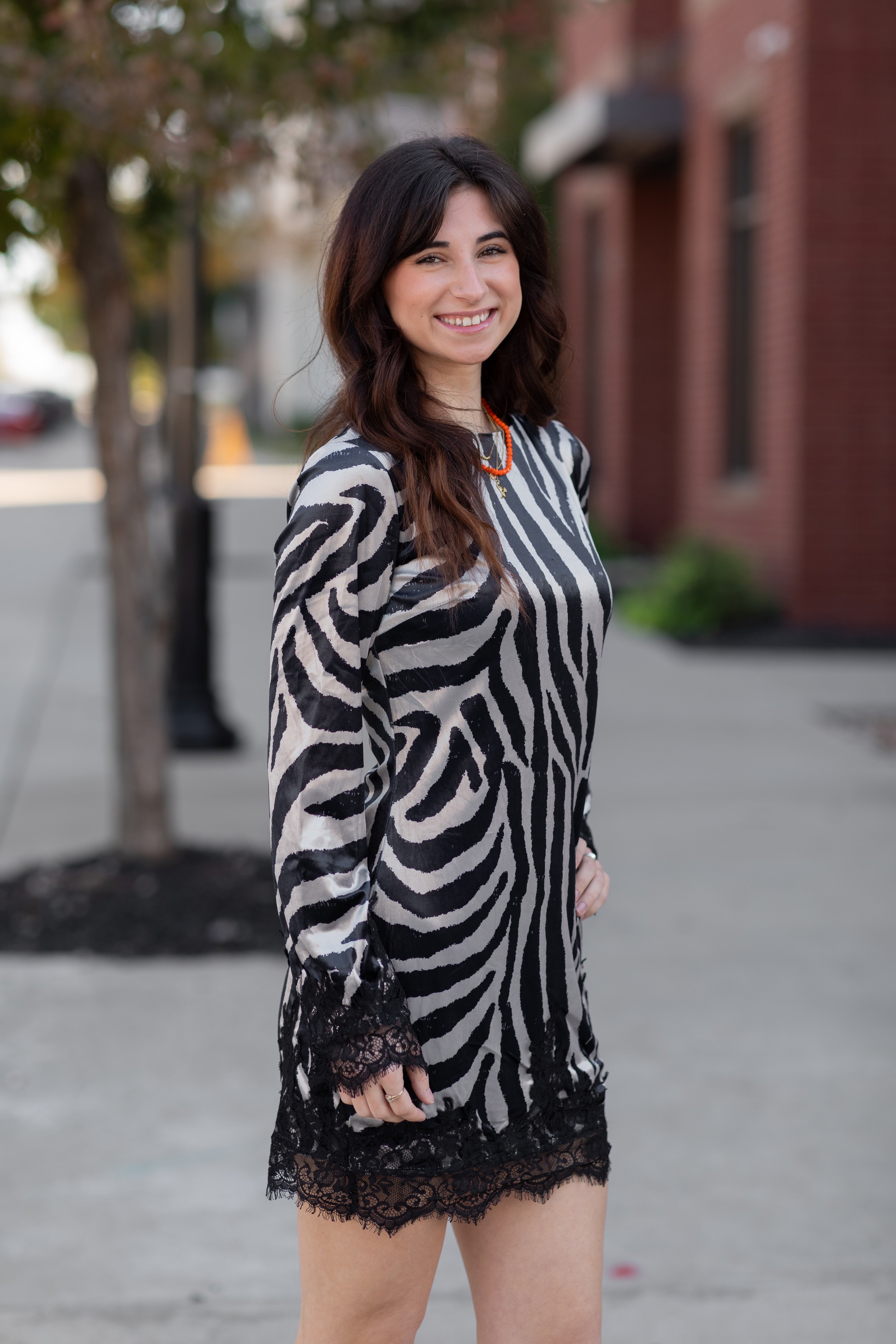 Zebra Print Long Sleeve Mini Dress