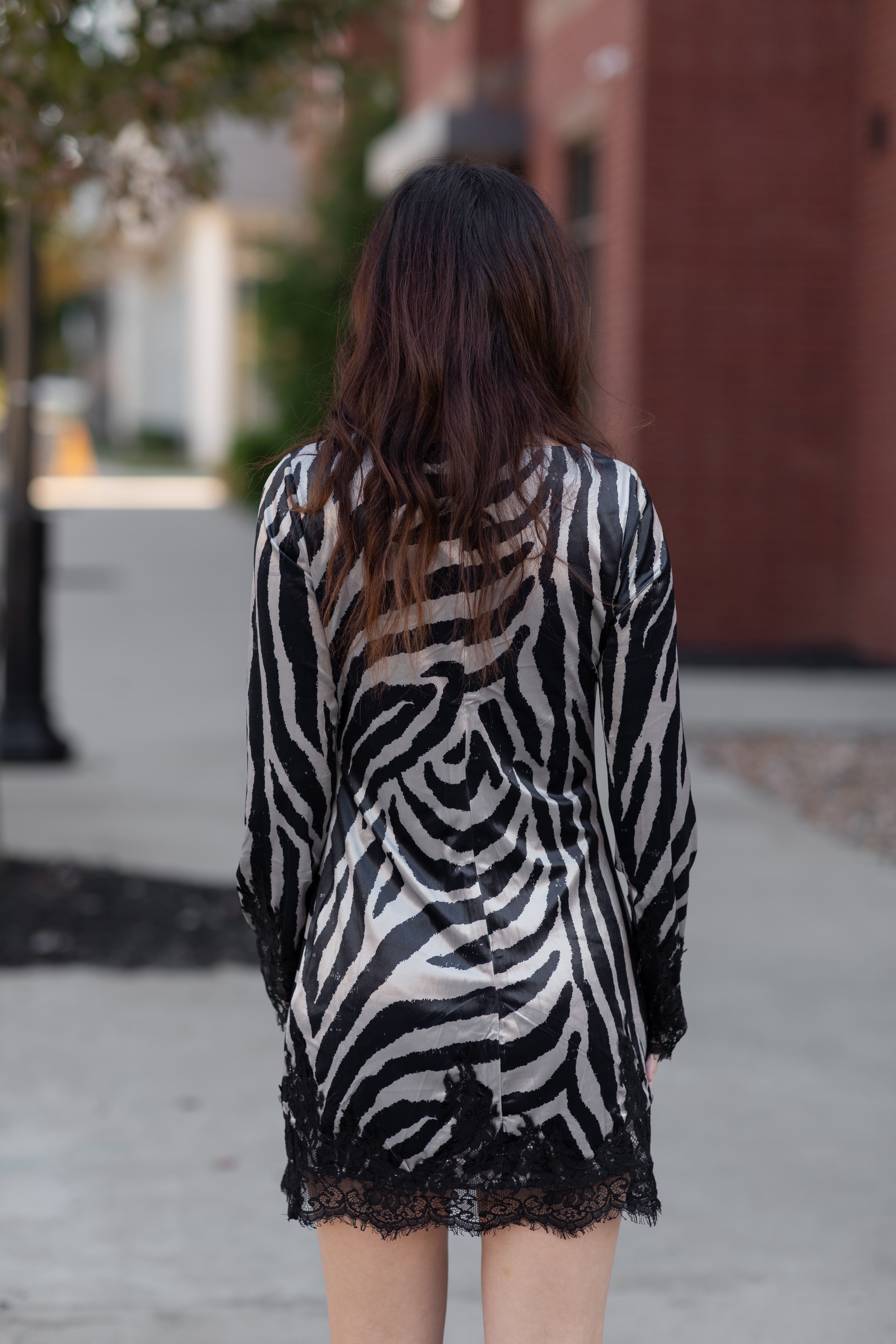Zebra Print Long Sleeve Mini Dress