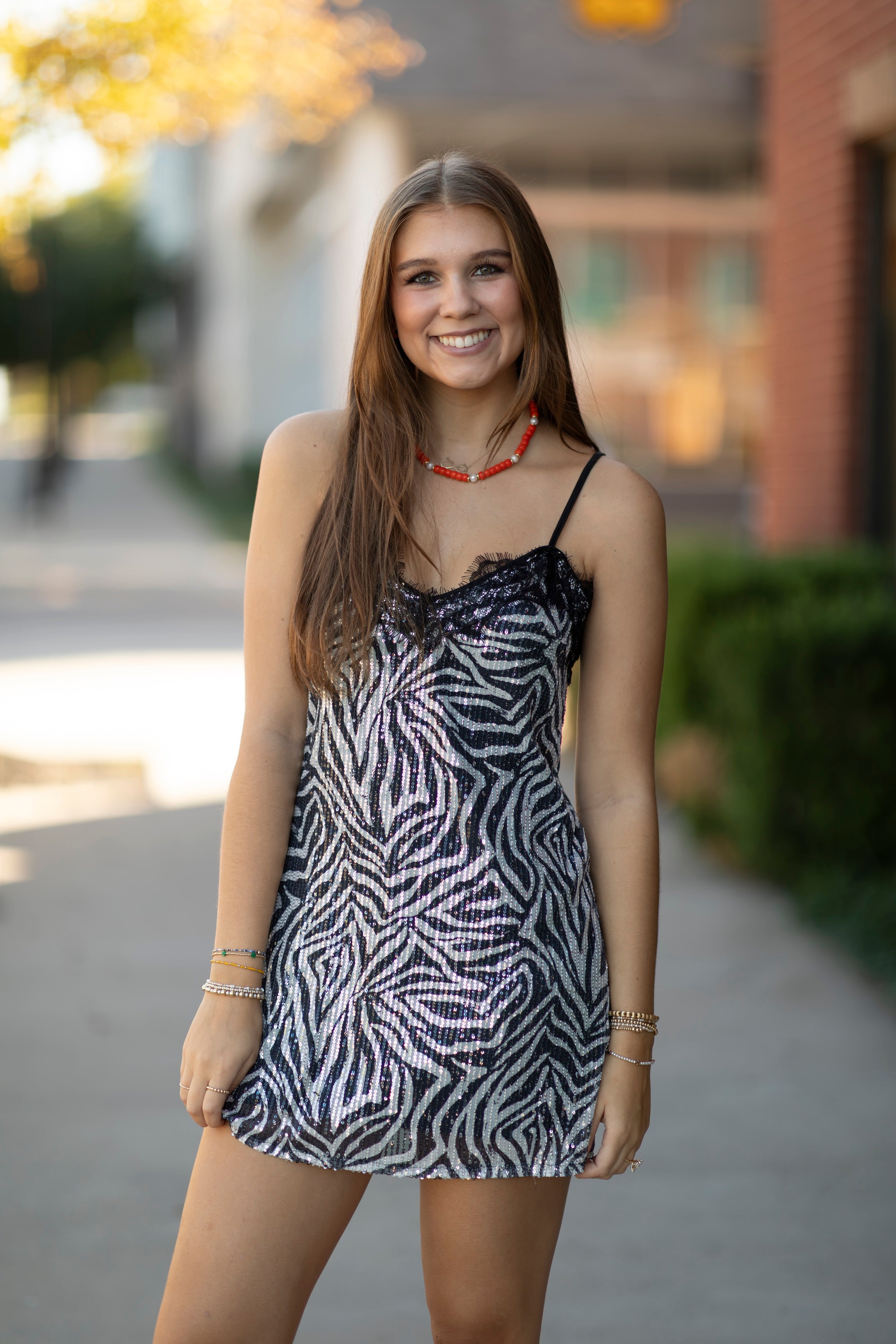 Zebra Sequin Lace Trim Mini Dress