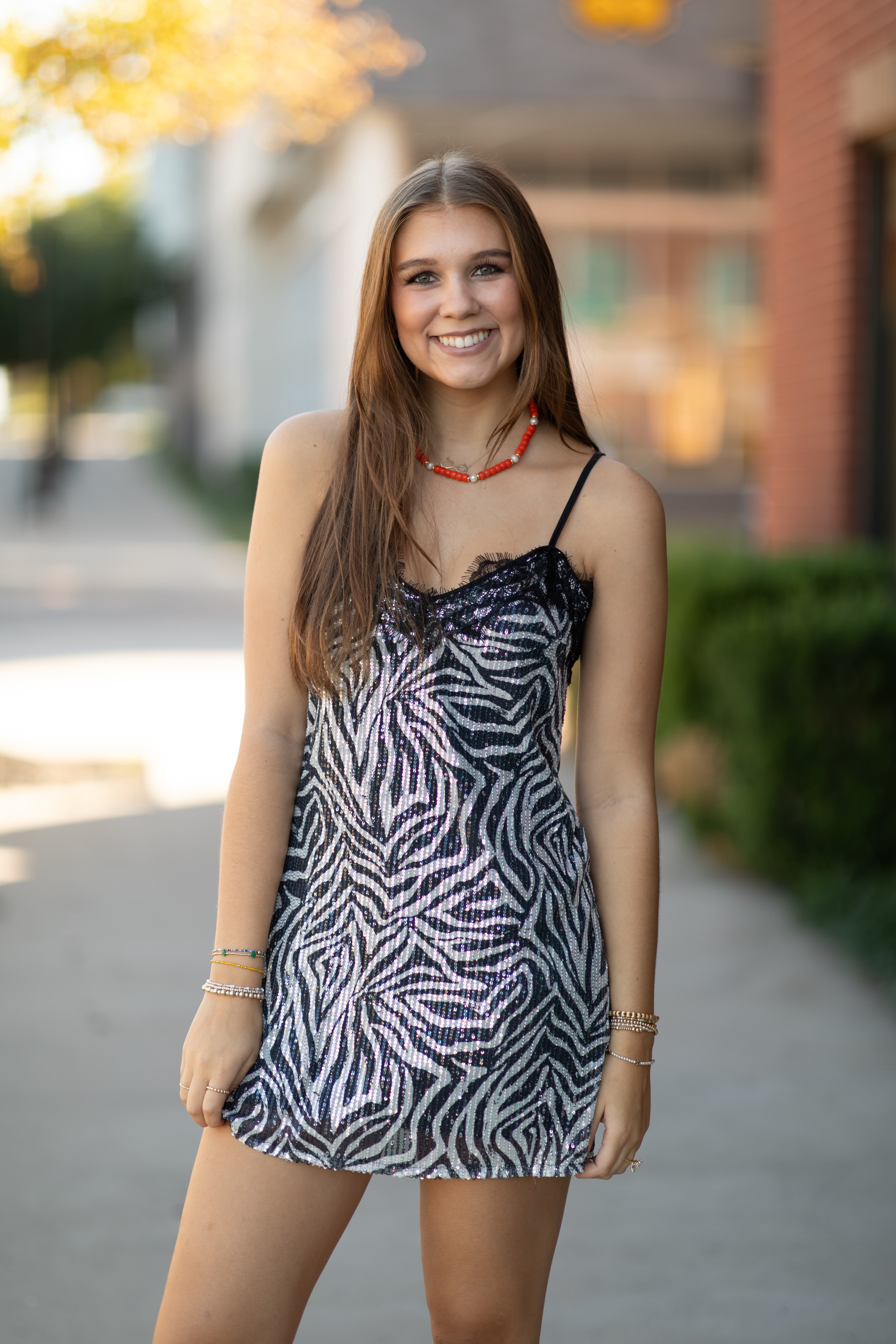 Zebra Sequin Lace Trim Mini Dress