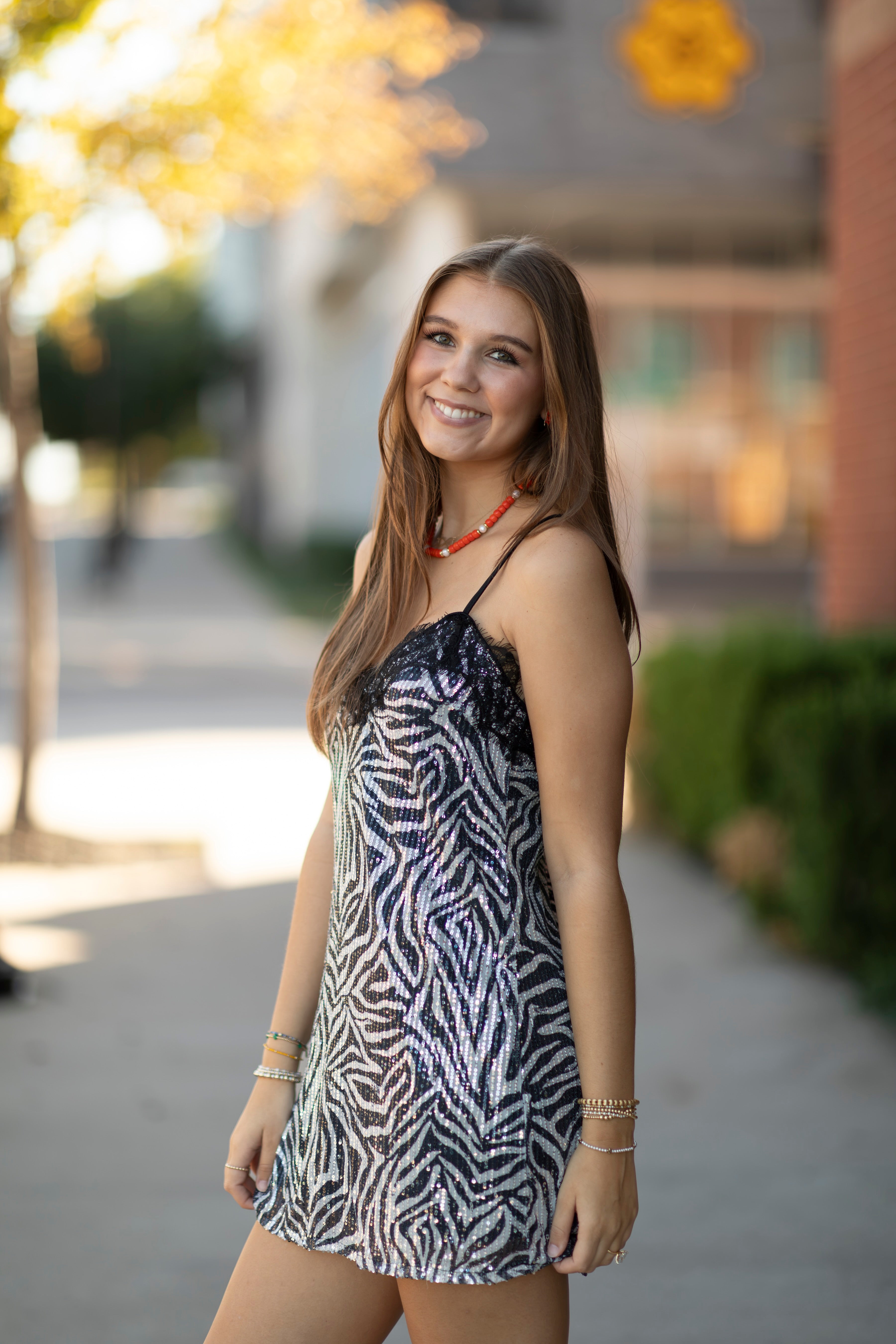 Zebra Sequin Lace Trim Mini Dress