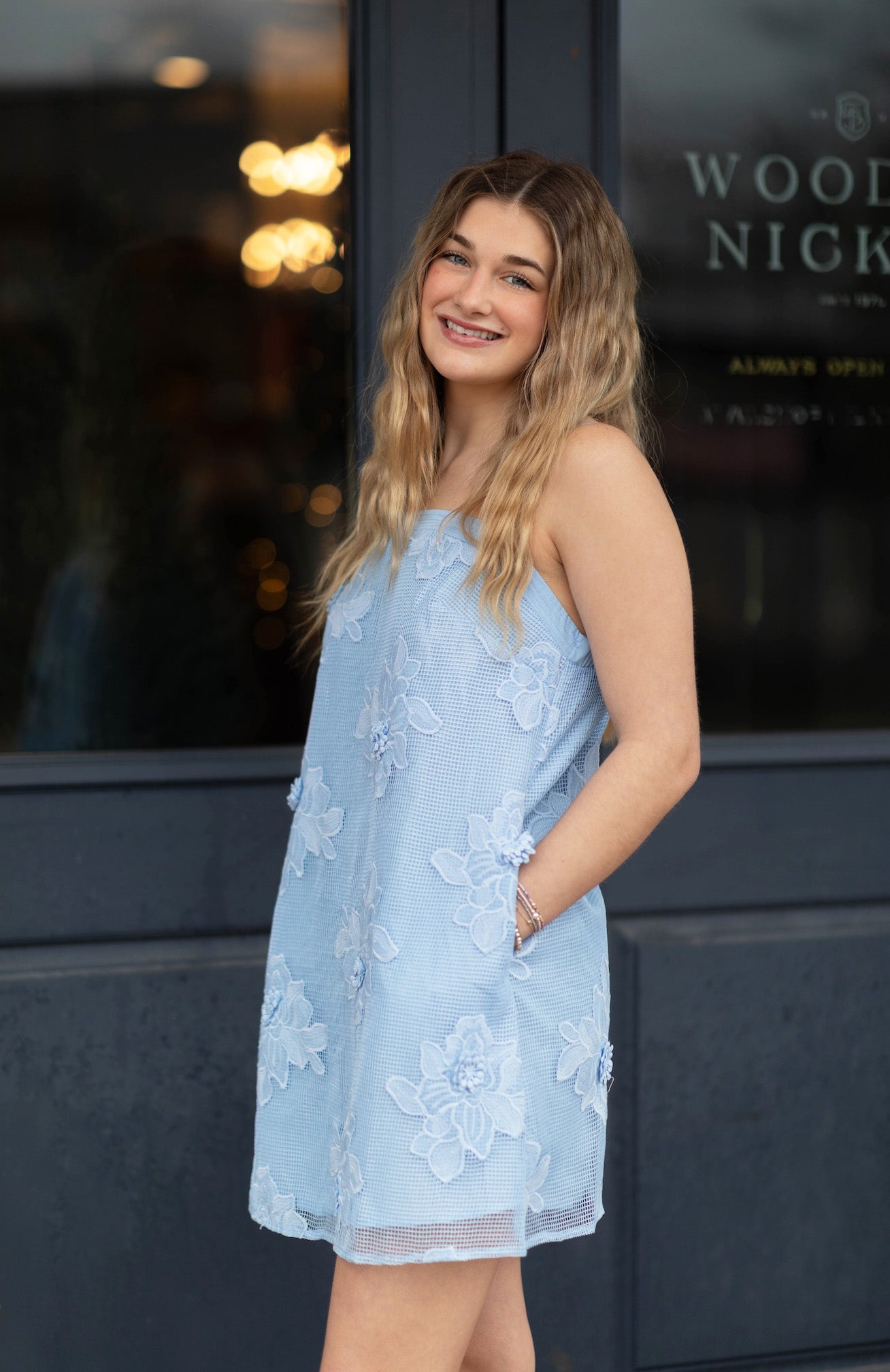 Emmy Embroidery Floral Mesh Mini Dress