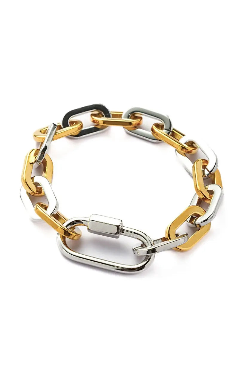Mixed Metal Carabiner Bracelet -Waterproof