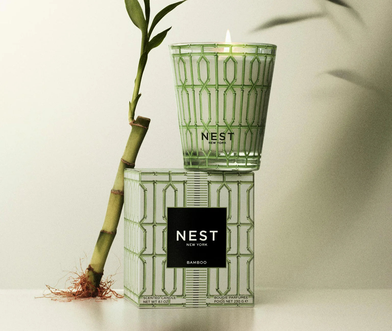 Specialty Classic Candle 8.1oz Bamboo