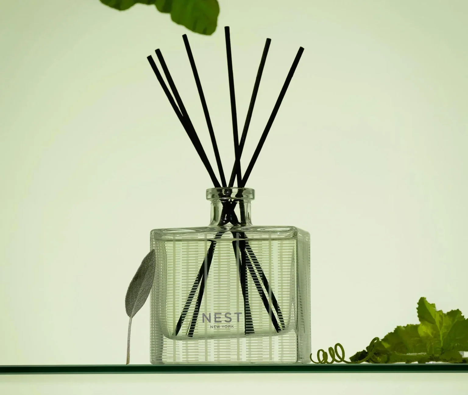 Reed Diffuser 5.9oz Cucumber & White Sage