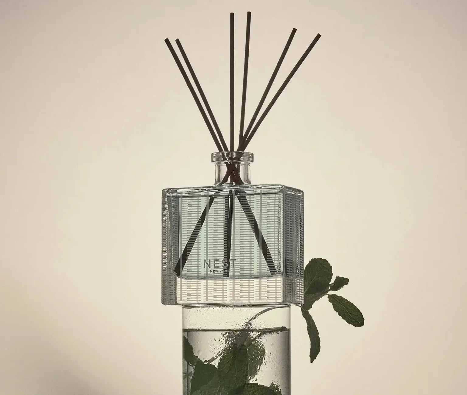 Reed Diffuser 5.9oz Wild Mint & Eucalyptus