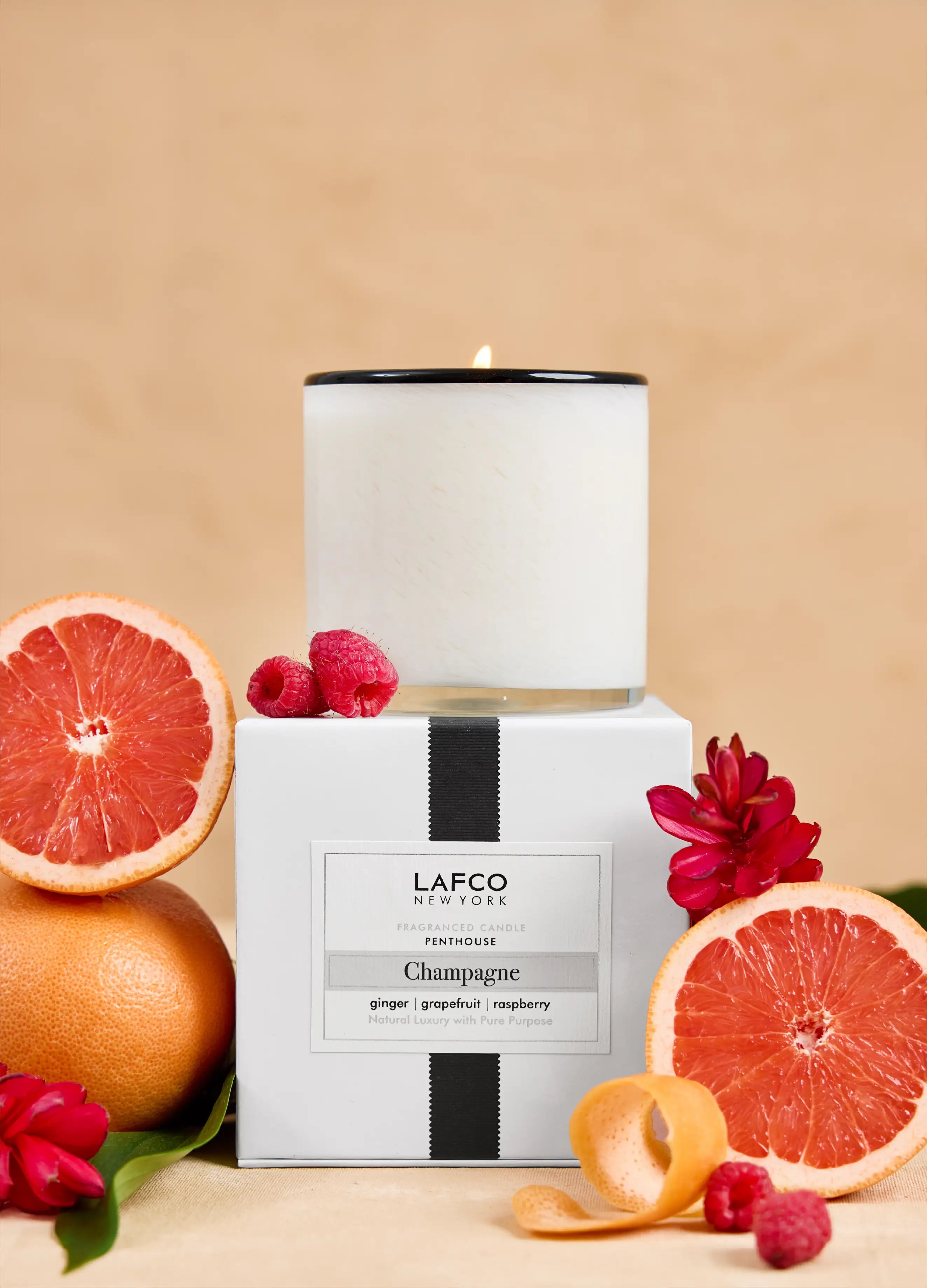 6.5oz Classic Candle Champagne - Penthouse