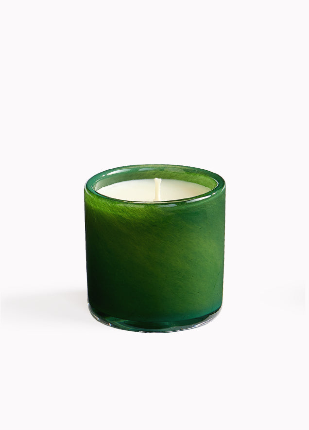 6.5oz Jungle Bloom Classic Candle - Treehouse
