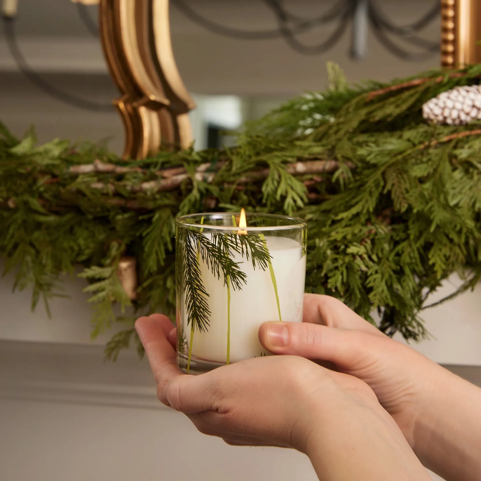 Frasier Fir Pine Needle Candle 6.5oz Box