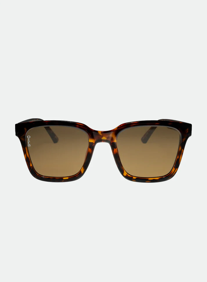 Fyn Sunglasses Tortoise|Brown