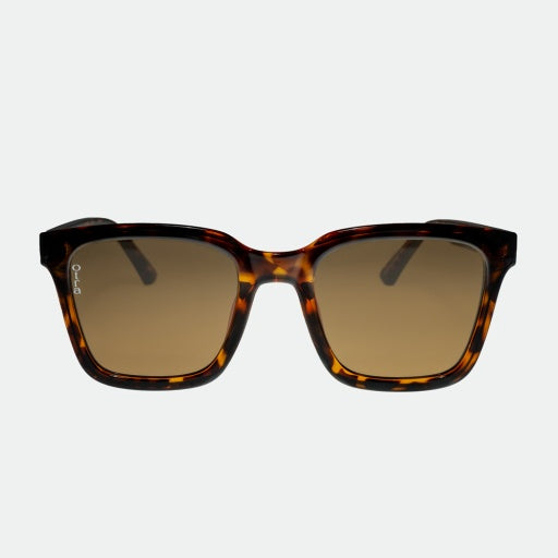 Fyn Sunglasses Tortoise|Brown