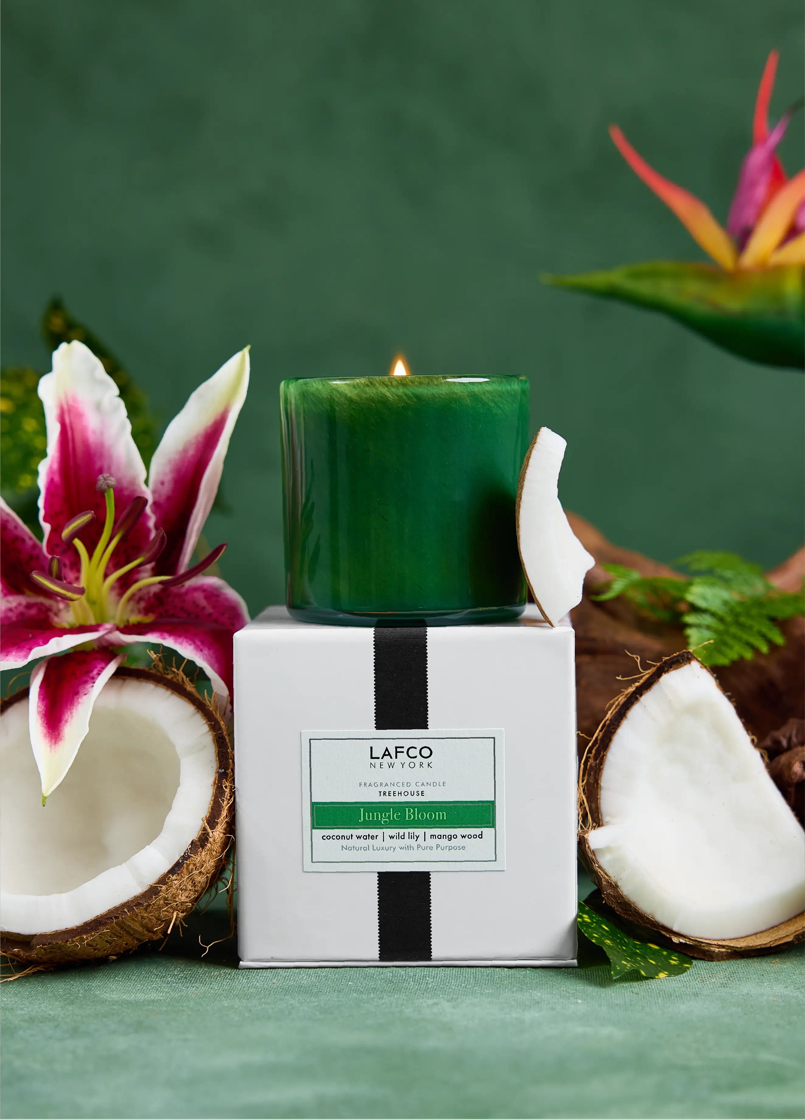 6.5oz Jungle Bloom Classic Candle - Treehouse