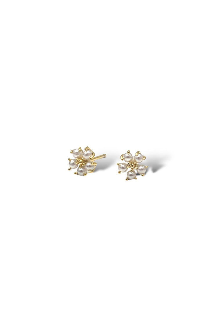 Elly stud E, G, W. Pearl