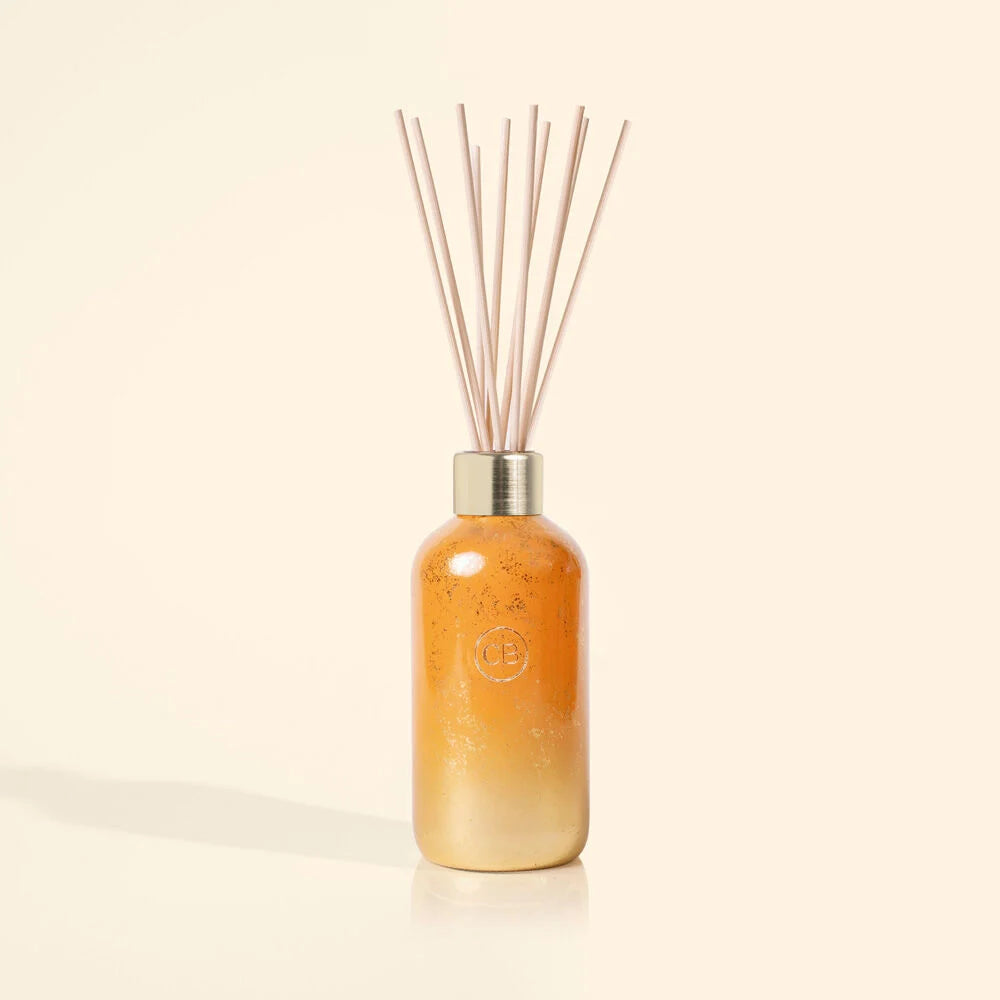 8 fl oz Reed Diffuser Pumpkin Dulce