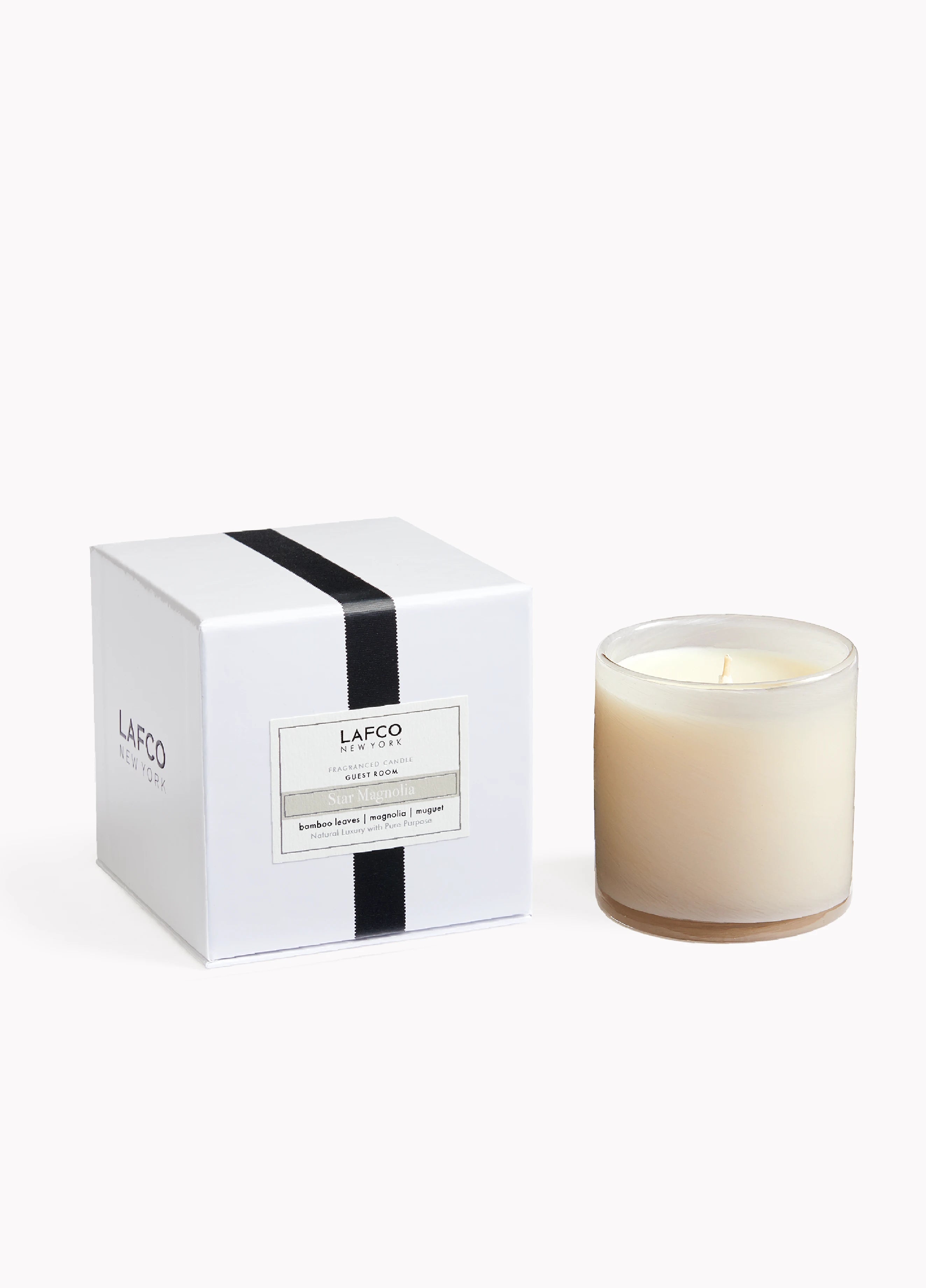 6.5oz Classic Candle Star Magnolia - Guest Room