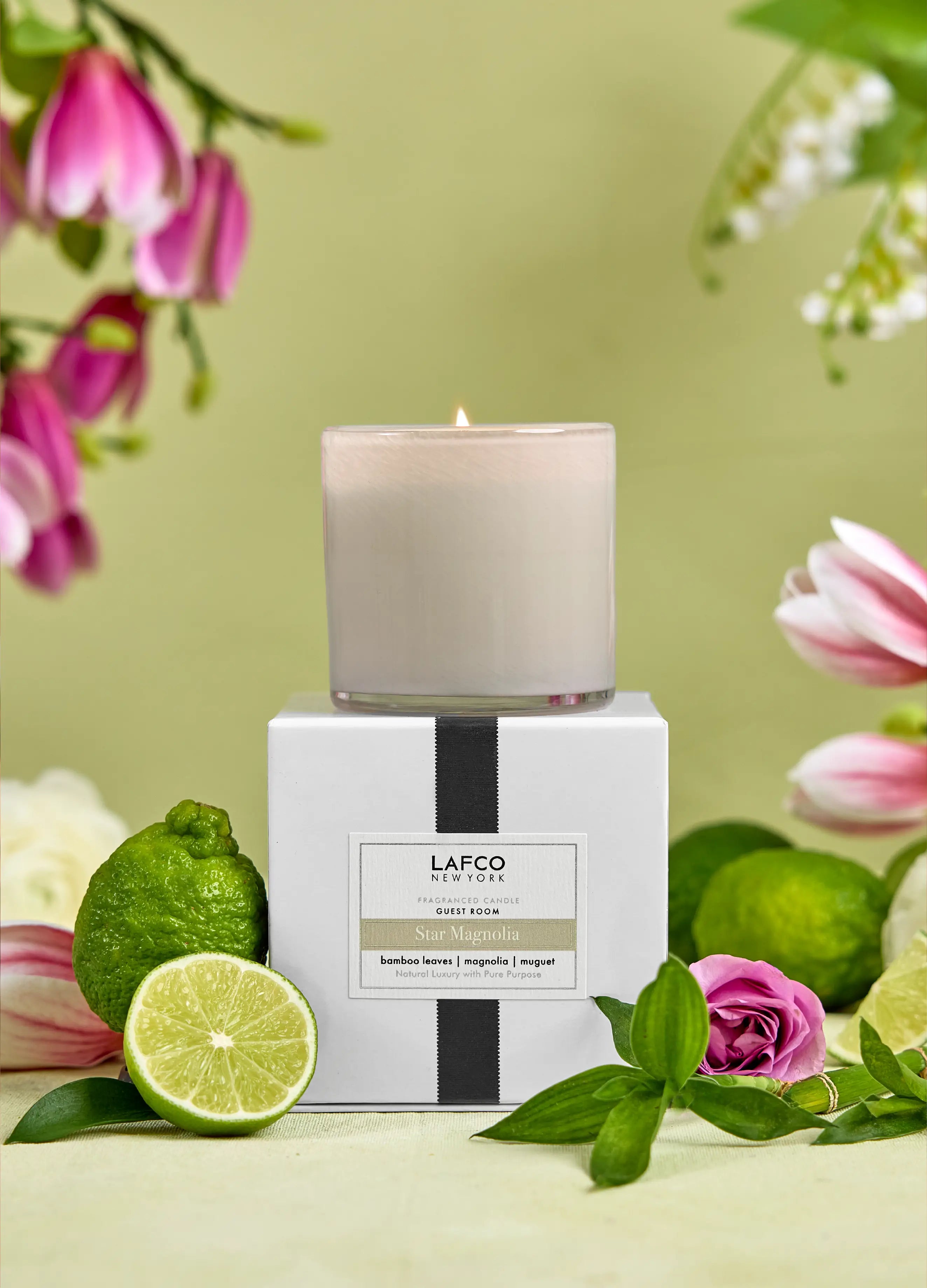 6.5oz Classic Candle Star Magnolia - Guest Room