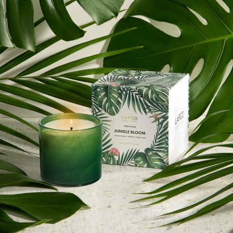 6.5oz Jungle Bloom Classic Candle - Treehouse